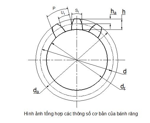gia-cong-banh-rang-theo-ban-ve